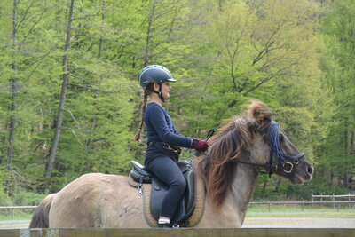 Foto des Albums: Reitkurs Shirin 2022