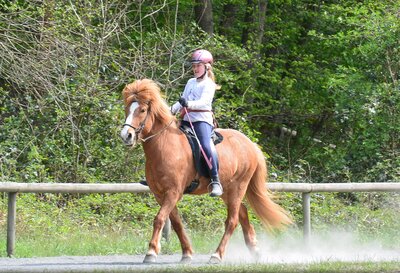 Foto des Albums: Reitkurs Shirin 2022
