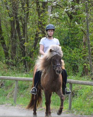 Foto des Albums: Reitkurs Shirin 2022