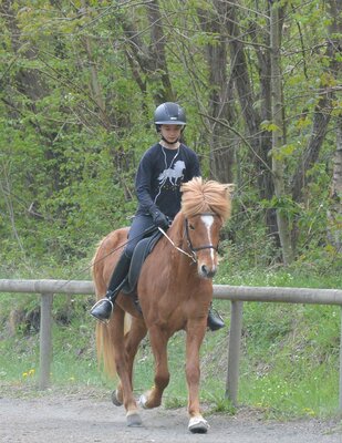 Foto des Albums: Reitkurs Shirin 2022