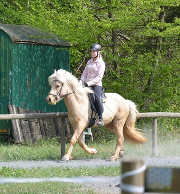 Foto des Albums: Reitkurs Shirin 2022