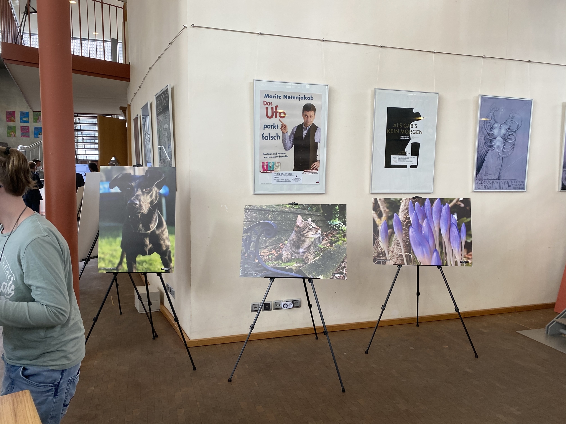 Bild der Galerie