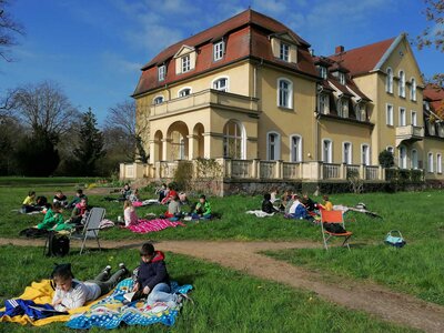 Foto des Albums: Lesewiese