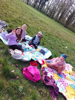 Foto des Albums: Lesewiese