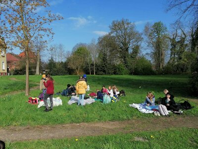 Foto des Albums: Lesewiese
