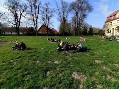 Foto des Albums: Lesewiese