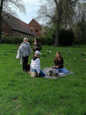 Foto des Albums: Lesewiese