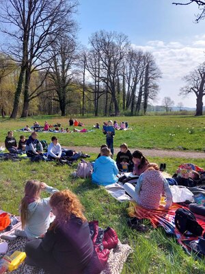 Foto des Albums: Lesewiese