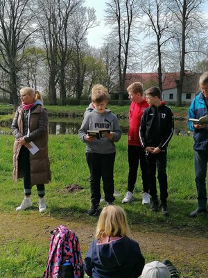Foto des Albums: Lesewiese