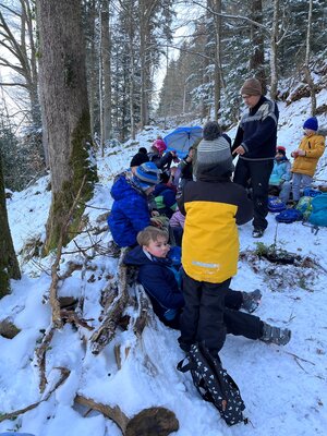 Foto des Albums: Wald mit allen Sinnen