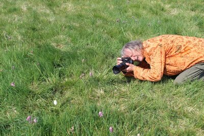 Foto des Albums: Wanderung zur Schachbrettblumenwiese