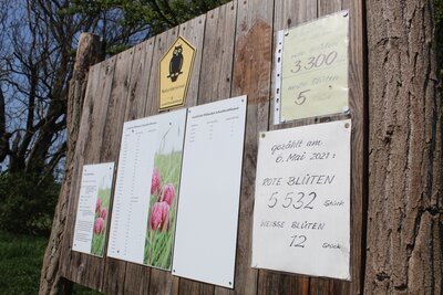 Foto des Albums: Wanderung zur Schachbrettblumenwiese