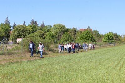 Foto des Albums: Wanderung zur Schachbrettblumenwiese