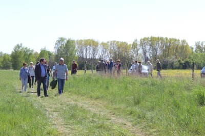 Foto des Albums: Wanderung zur Schachbrettblumenwiese