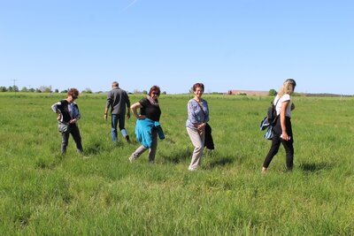Foto des Albums: Wanderung zur Schachbrettblumenwiese