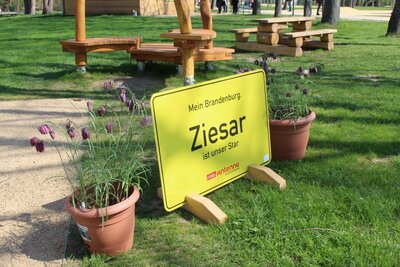 Foto des Albums: Ziesar präsentiert sich auf der LAGA in Beelitz
