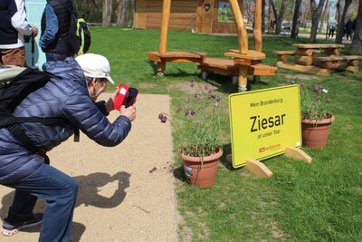 Foto des Albums: Ziesar präsentiert sich auf der LAGA in Beelitz