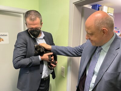 Vorschaubild: Katzen, Hunde und Kleintiere finden hier Schutz, medizinische Versorgung und Zuwendung, bevor sie hoffentlich schnell vermittelt werden. Drei Welpen, die kürzlich von der Polizei aufgefunden wurden, zogen besondere Aufmerksamkeit auf sich.