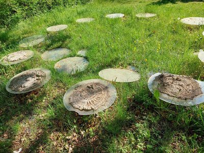 Foto des Albums: Erneute Zerstörung