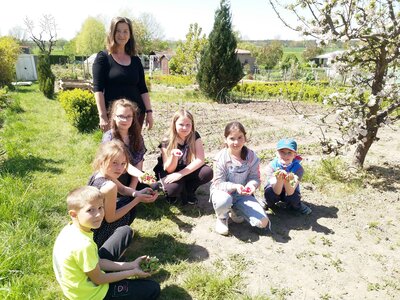 Foto des Albums: Schulgarten