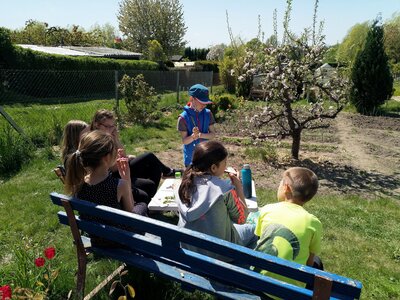 Foto des Albums: Schulgarten