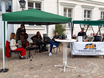 Foto des Albums: Spargelmarkt lud zum Plauschen ein