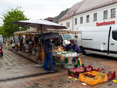 Foto des Albums: Spargelmarkt lud zum Plauschen ein