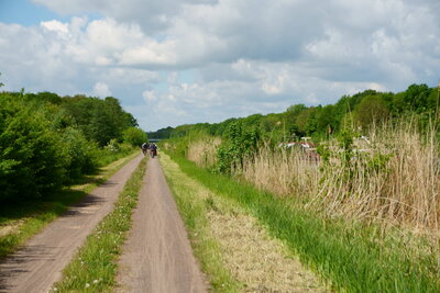 Am Mittelandkanal  (Bild vergr&ouml;&szlig;ern)