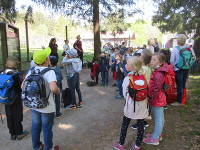 Foto des Albums: Treffen mit den Schülern aus Dolní Žandov im Wildpark Mehlmeisel (10. 05. 2022)