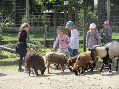 Foto des Albums: Treffen mit den Schülern aus Cheb im Wildpark Mehlmeisel (13. 05. 2022)