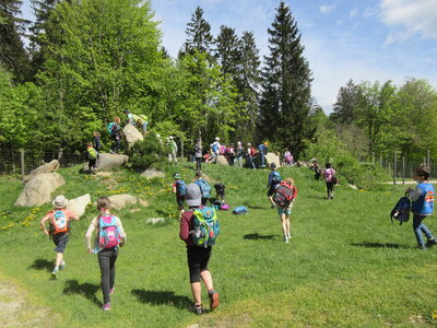 Foto des Albums: Treffen mit den Schülern aus Cheb im Wildpark Mehlmeisel (13. 05. 2022)