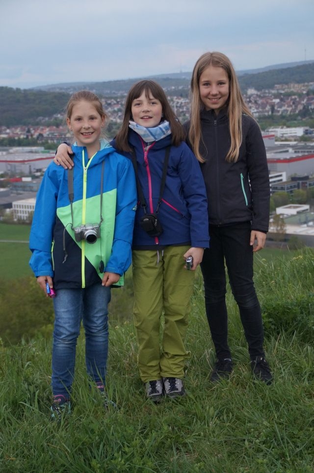 Bild der Galerie