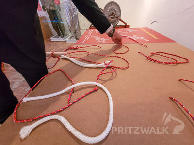 Foto des Albums: Jubiläumsjahr 150 Jahre Feuerwehr Pritzwalk eröffnet