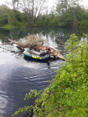 bei halben B&auml;umen hilft nur schwere Technik bei der Bergung 