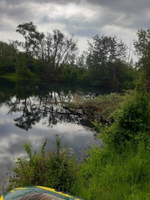 zu viel Windbruch behindert verlustarme Angelfischerei 