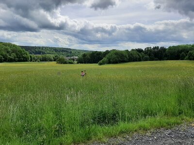 Foto des Albums: Wandertag Hergenroth/Halbs