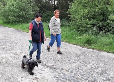 Foto des Albums: Wandertag Hergenroth/Halbs
