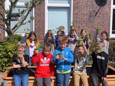 Foto des Albums: Sonnenblumenaktion 2022