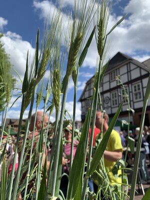 Foto des Albums: Tag der Vereine Bad Bevensen