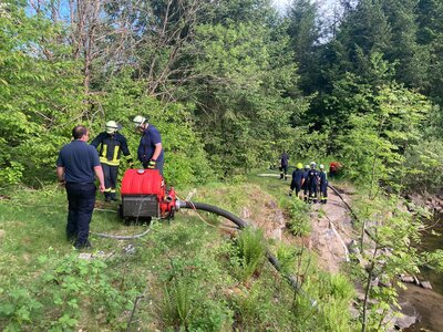 Foto des Albums: Maschinistenlehrgang 2022-05 (29. 05. 2022)