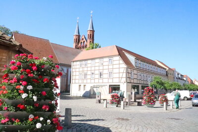 Foto des Albums: Blumenpyramiden in der Altstadt (03.06.2022)