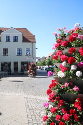 Foto des Albums: Blumenpyramiden in der Altstadt (03.06.2022)