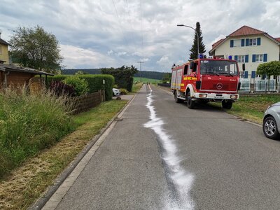 Foto des Albums: THL 1 - Straße Reinigen