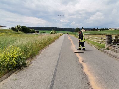 Foto des Albums: THL 1 - Straße Reinigen