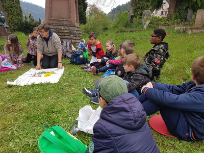 Foto des Albums: Wiese2022