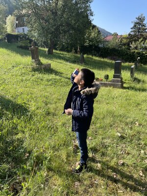 Foto des Albums: Wiese2022