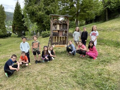 Foto des Albums: Wiese2022