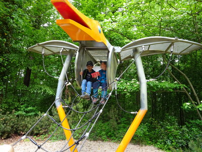 Foto des Albums: Schulausflug in den Saurierpark Kleinwelka