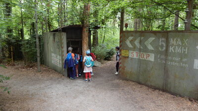 Foto des Albums: Schulausflug in den Saurierpark Kleinwelka