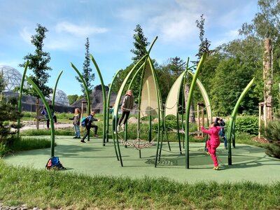 Foto des Albums: Schulausflug in den Saurierpark Kleinwelka